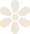 NVT Oikos