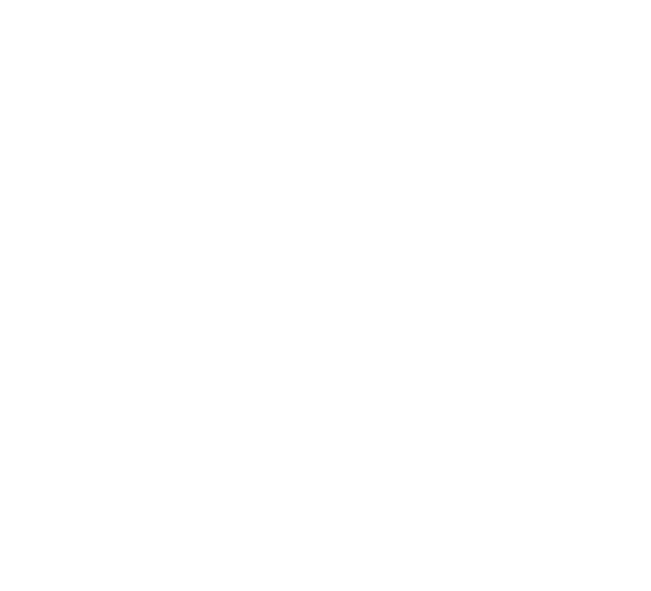 NVT Quality Lifestyle Villas Logo