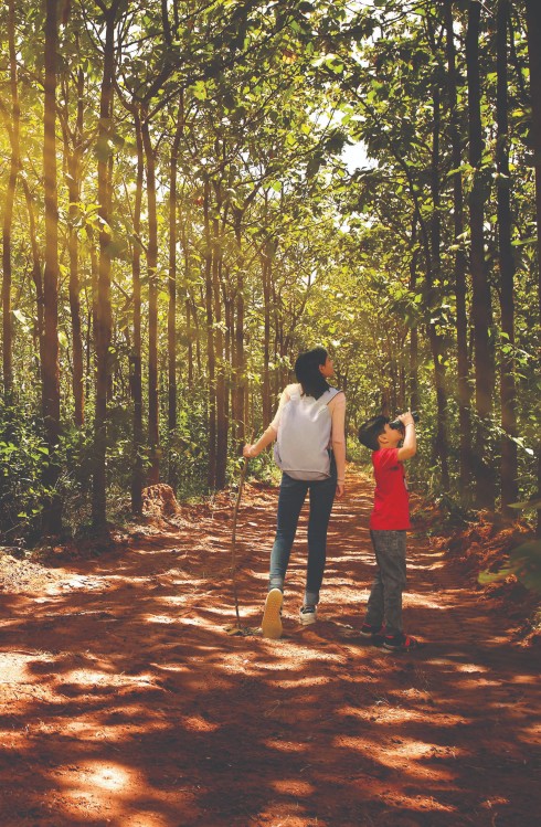 Stopping by the Woods