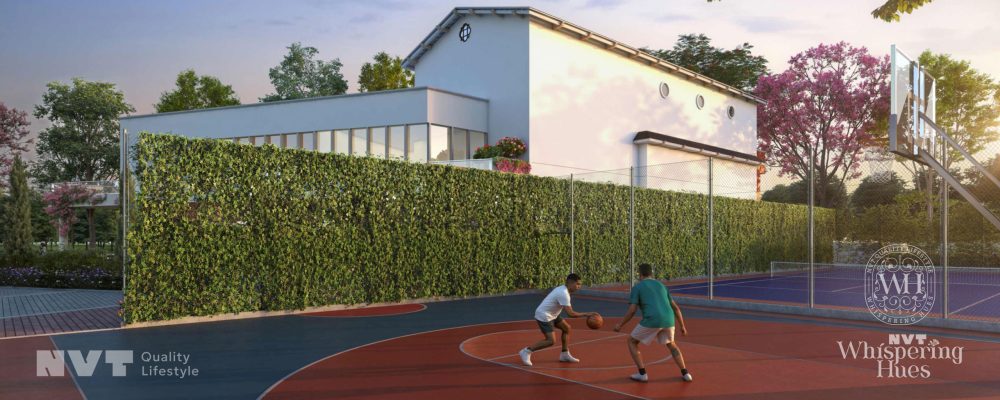 NVT Whispering Hues Basketball