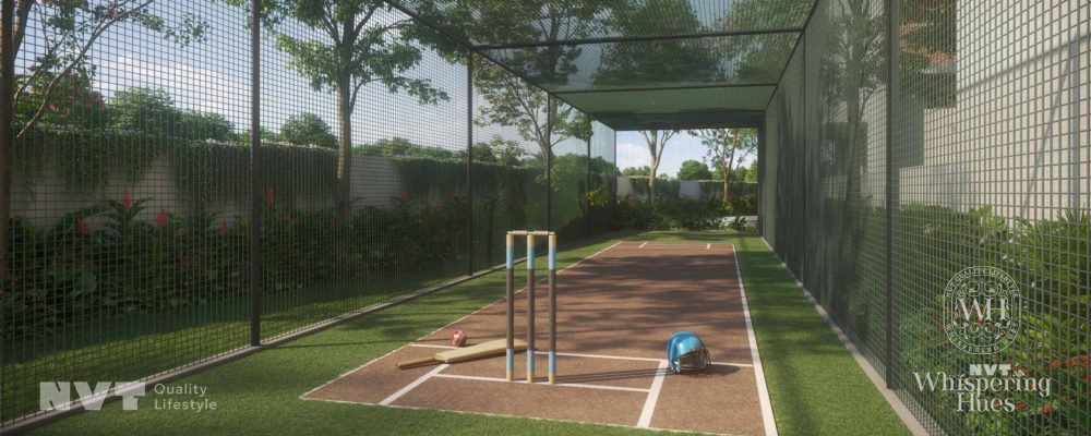 NVT Whispering Hues Cricket